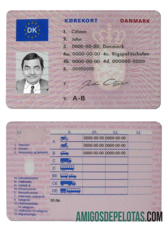 Carta de condução da Dinamarca (1997 2013) exemplo real